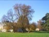 Vue du jardin