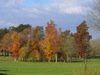 Couleurs d’automne
